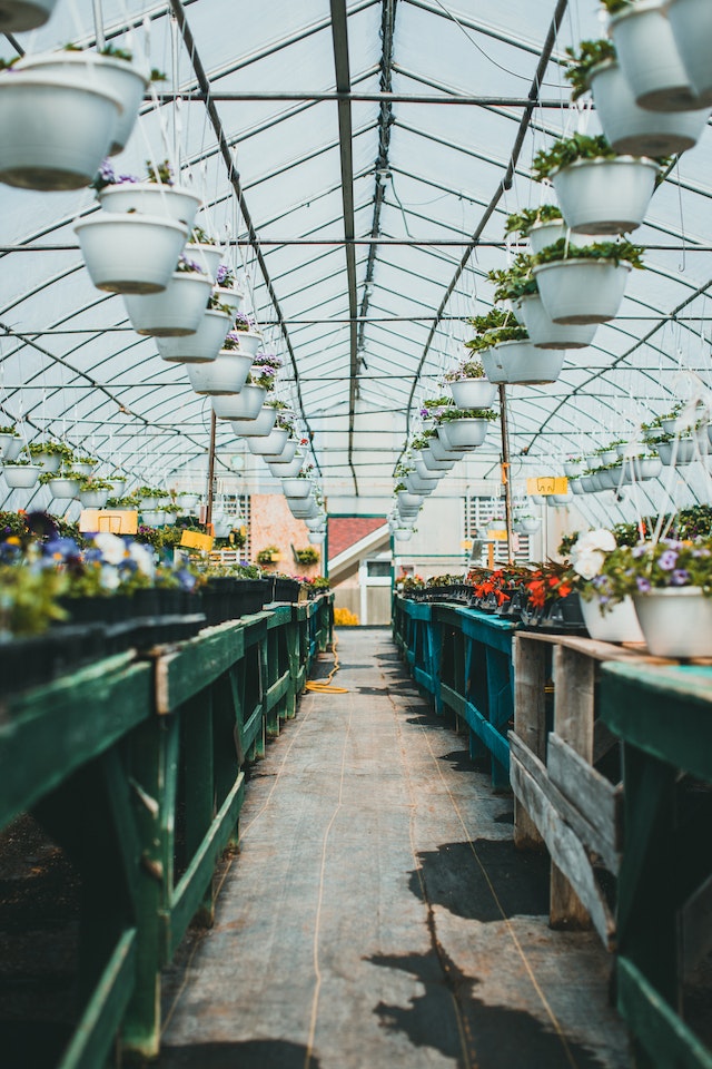 Gartenparty planen: Wie du deine Gartenparty zu einem unvergesslichen Ereignis machst